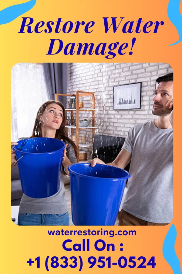 water restoration Citywide Water Cleanup Specialists Old Agency