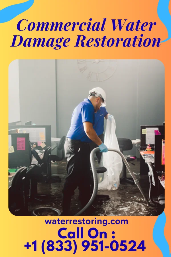 Commercial Water Damage Restoration in Old Agency, MT