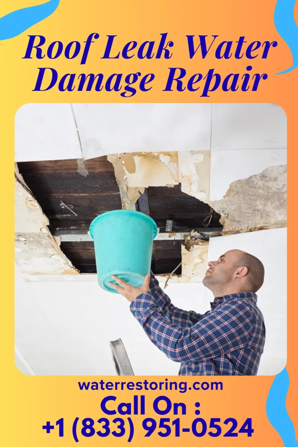 Roof Leak Water Damage Repair in Old Agency, MT